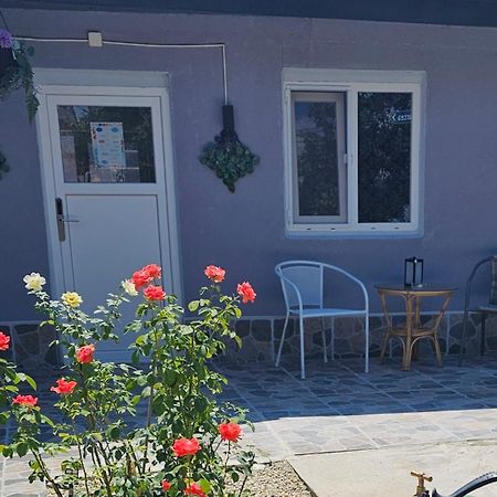 The Purple House-Villa In בוקרשט מראה חיצוני תמונה