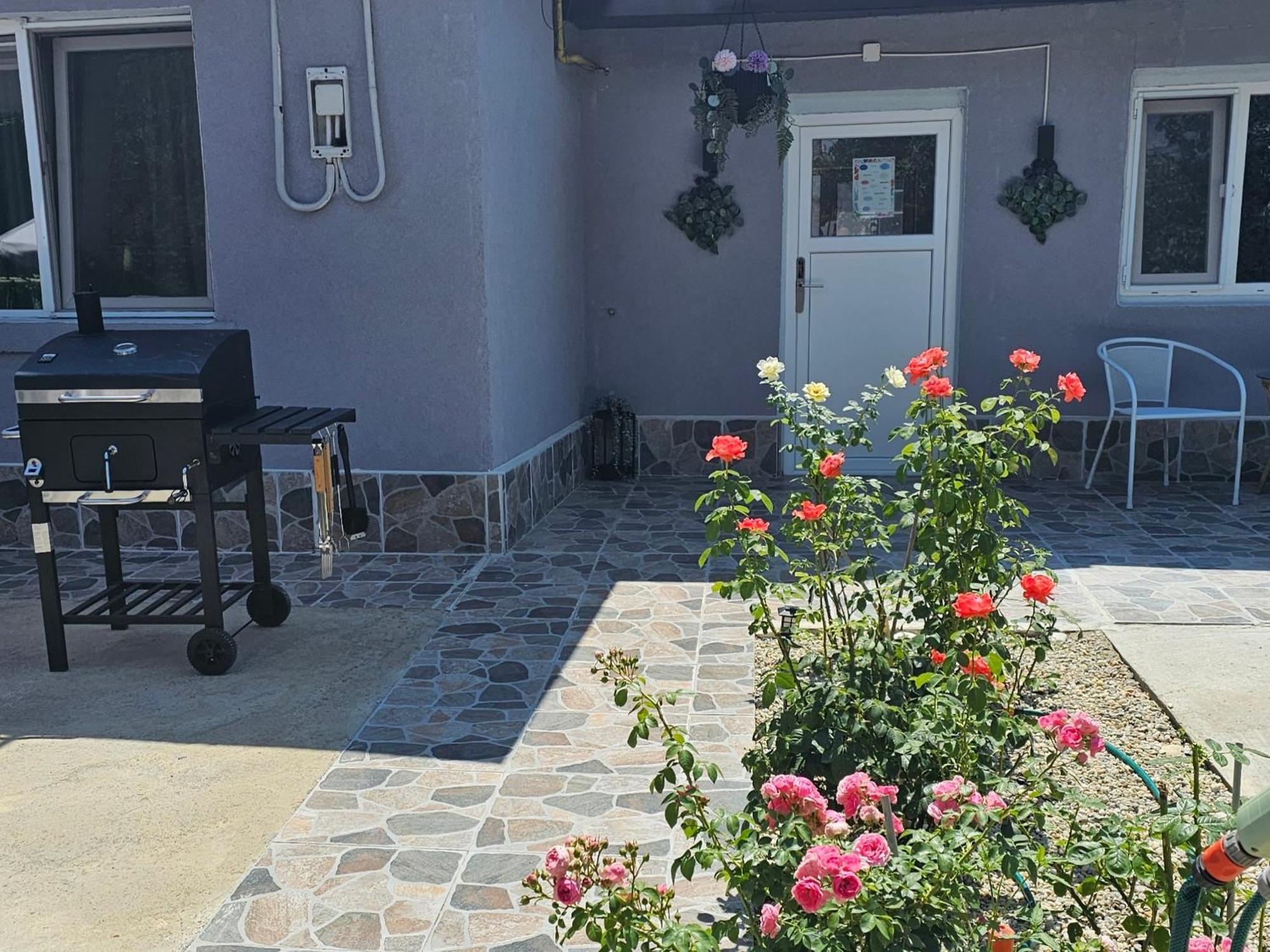 The Purple House-Villa In בוקרשט מראה חיצוני תמונה